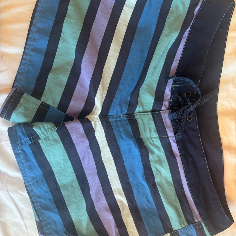 Patagonia Blue and Brown Striped Shorts